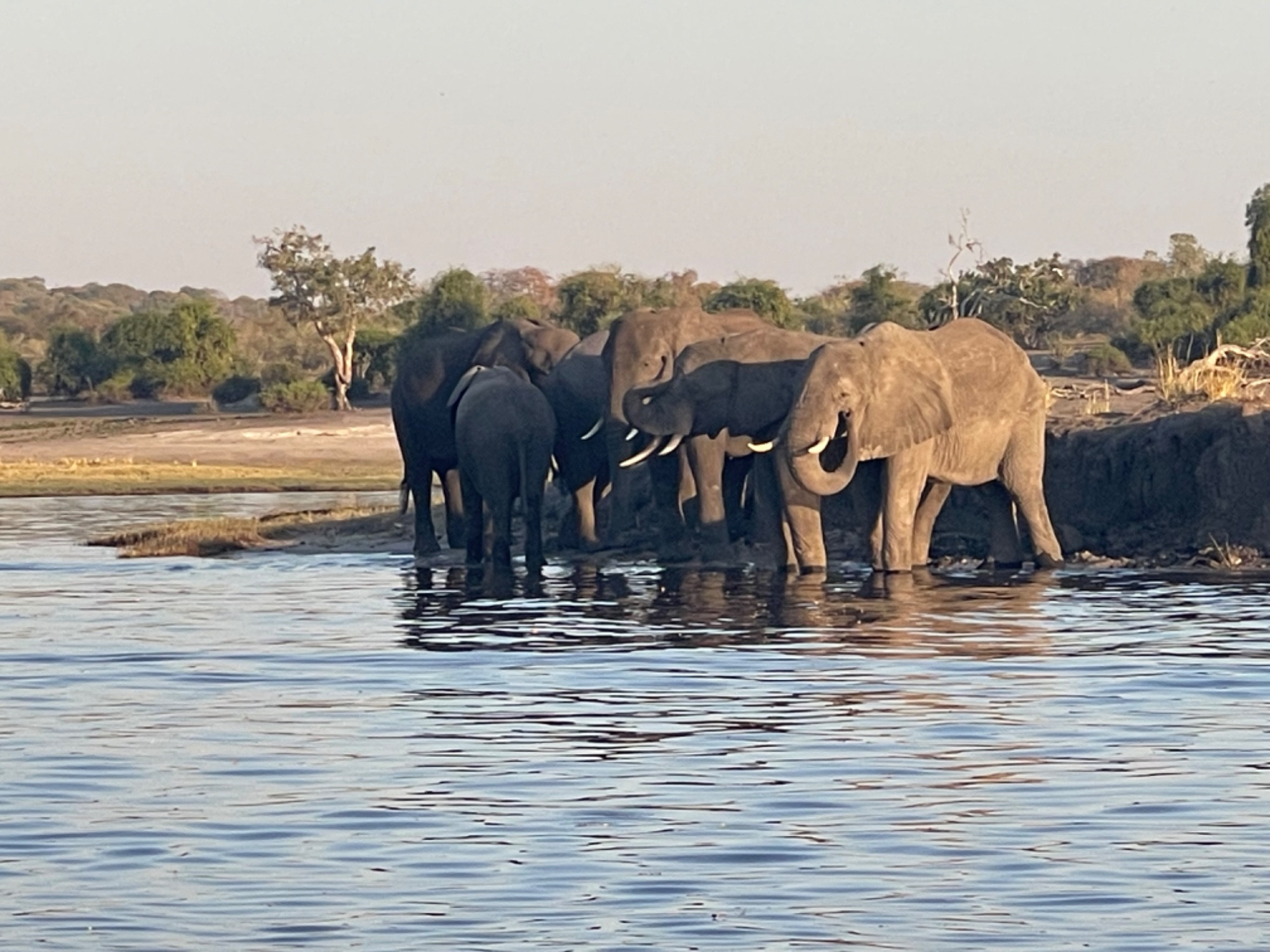 Долина  реки Чобе, Botswana