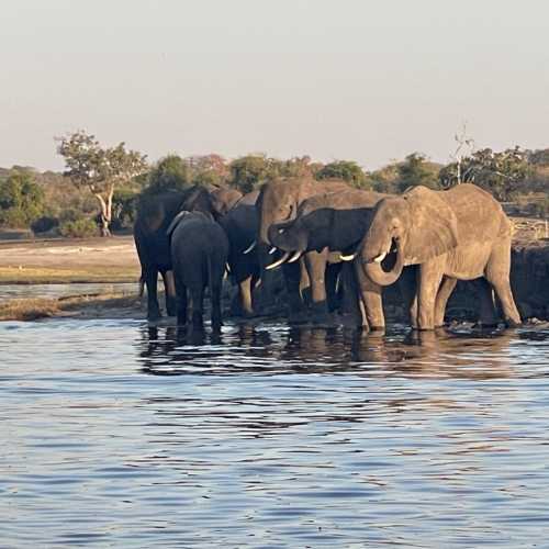 Долина  реки Чобе, Botswana