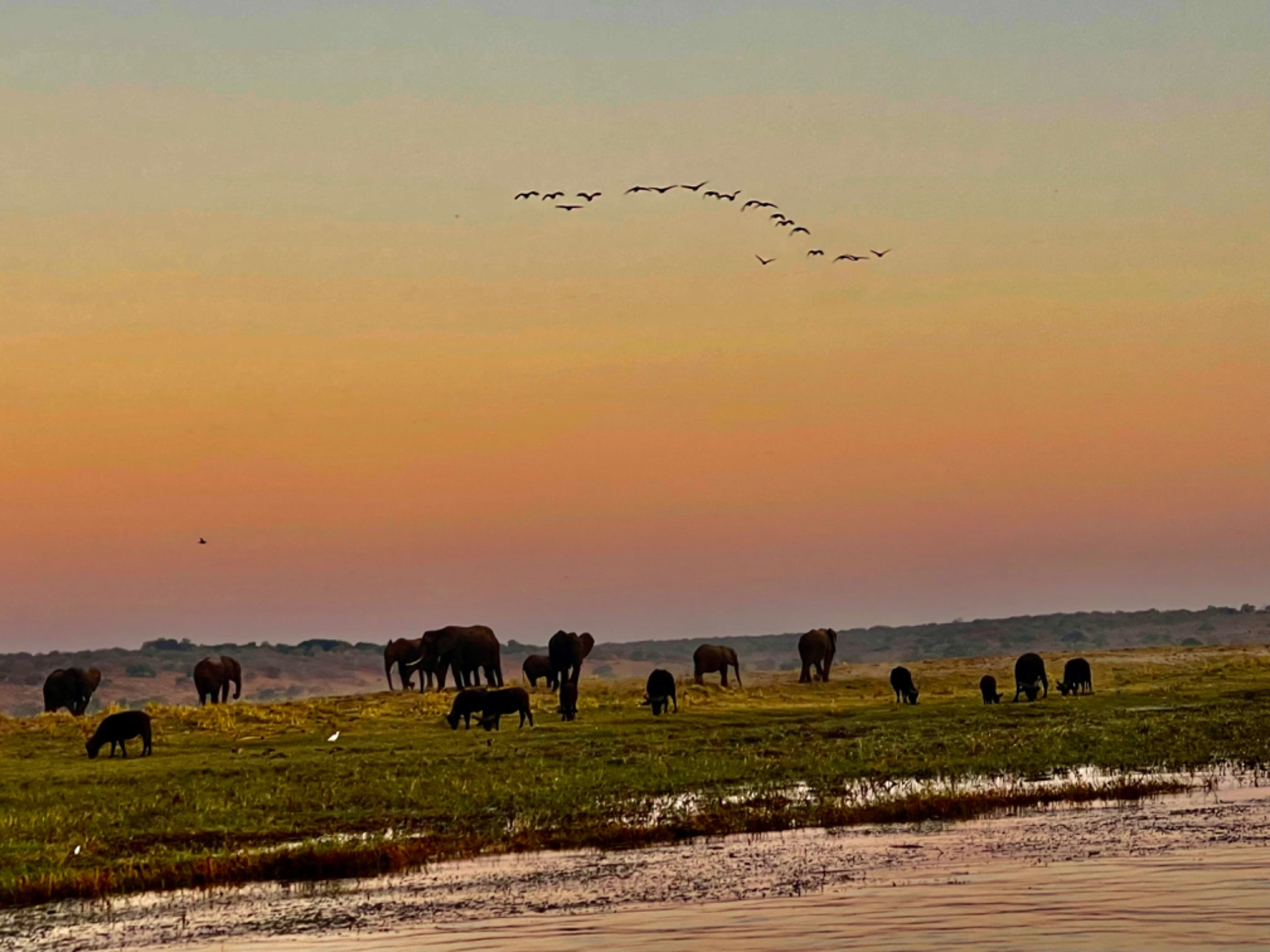 Долина  реки Чобе, Botswana