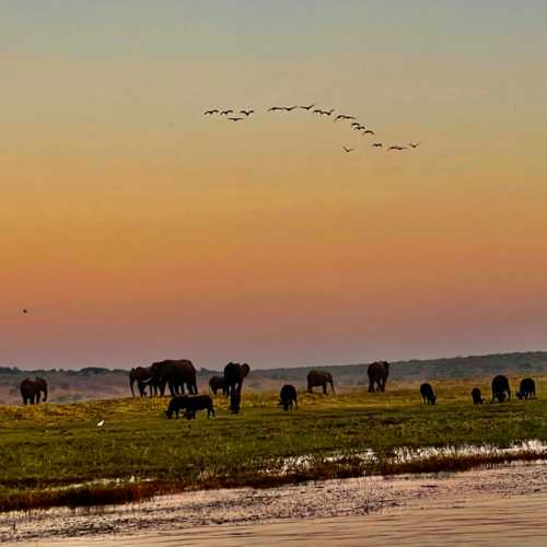 Долина  реки Чобе, Botswana