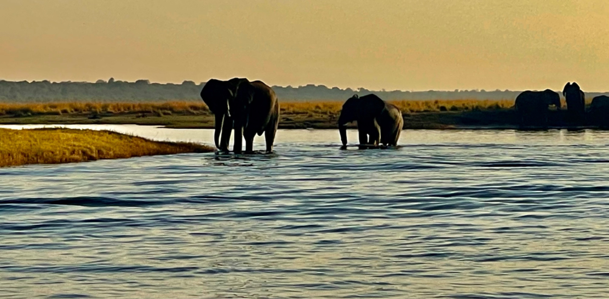 Долина  реки Чобе, Botswana