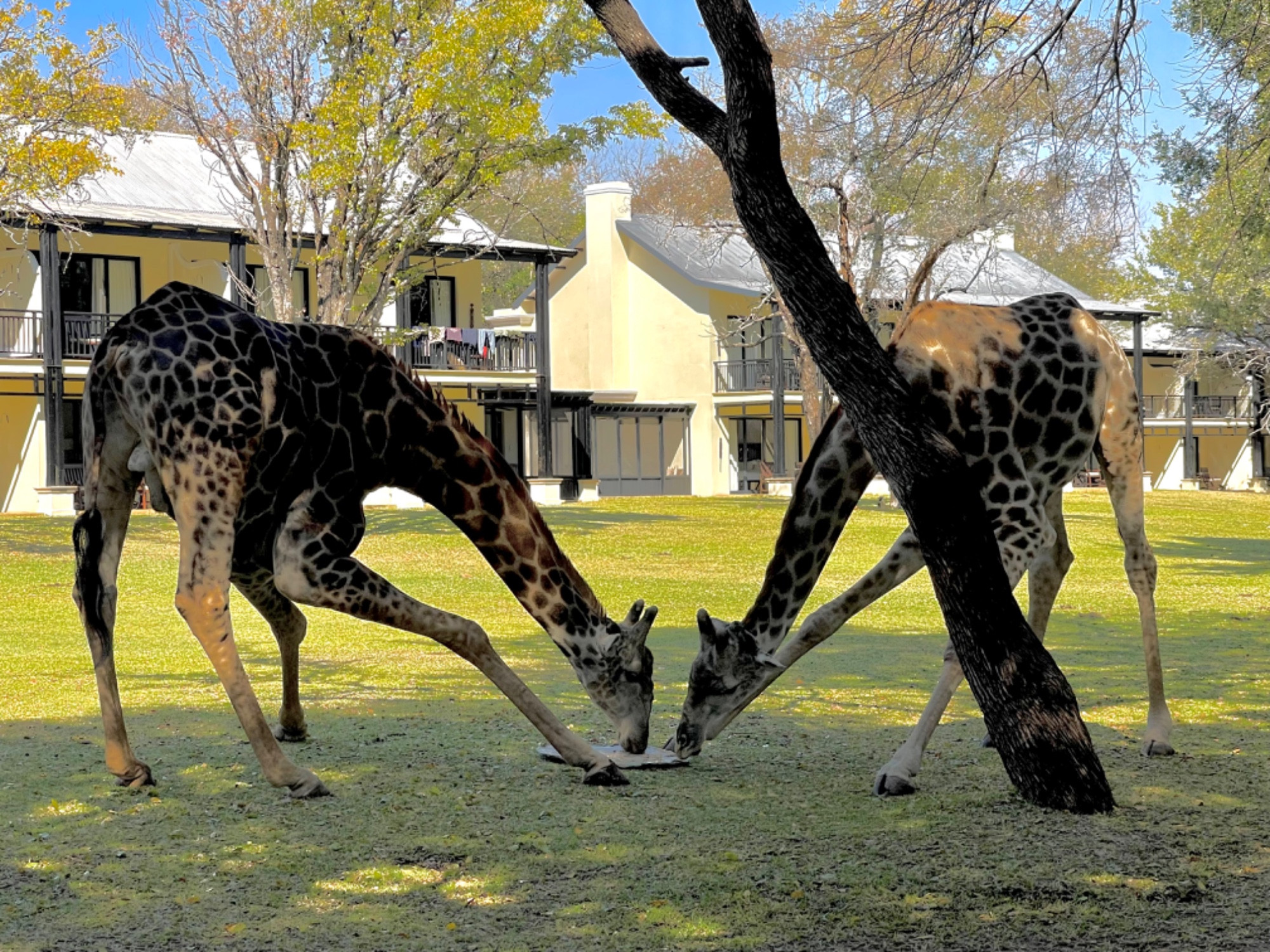 Royal Hotel Livingston, Zambia