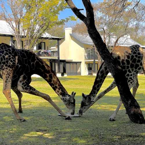 Royal Hotel Livingston, Zambia