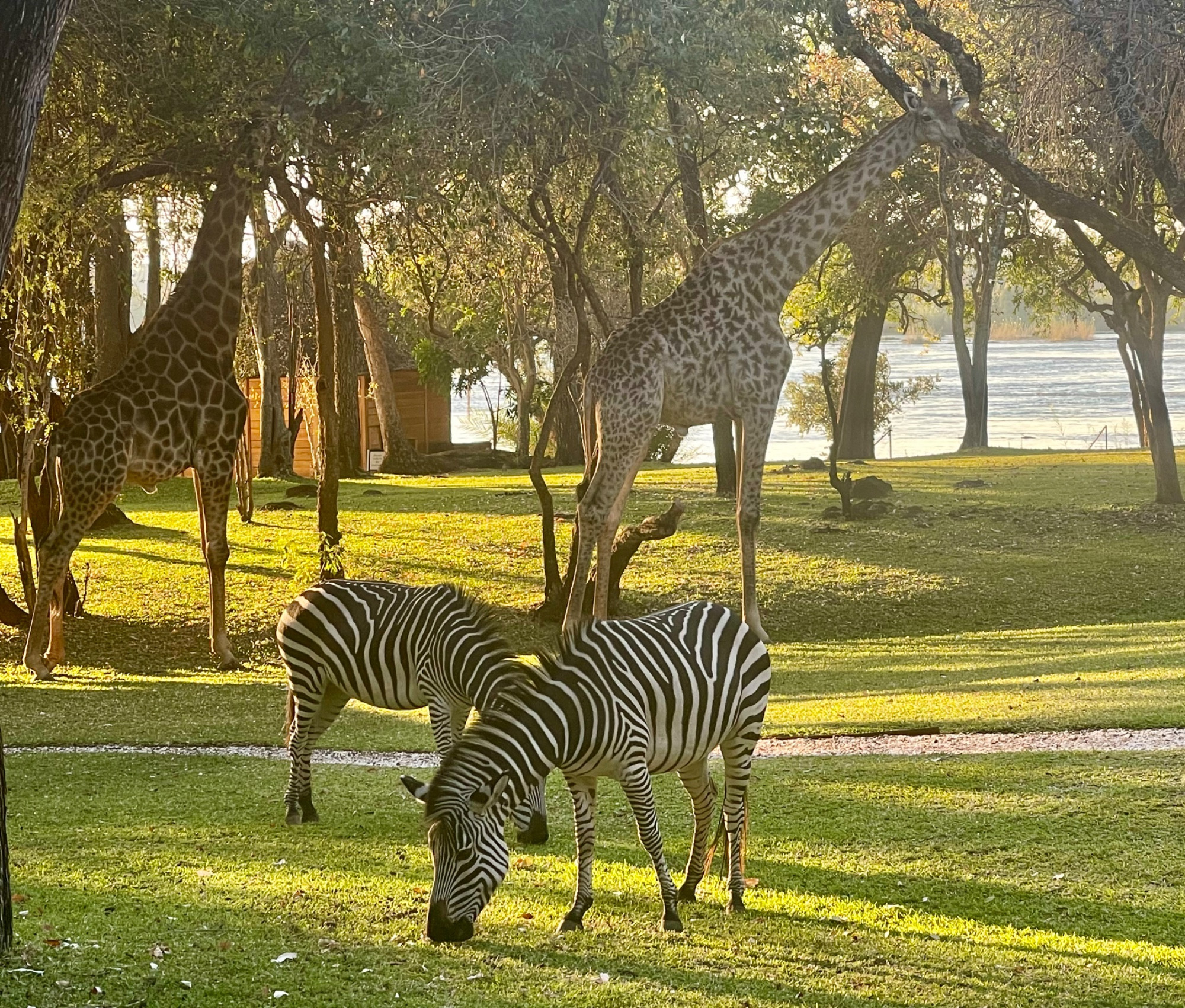 Royal Hotel Livingston, Zambia