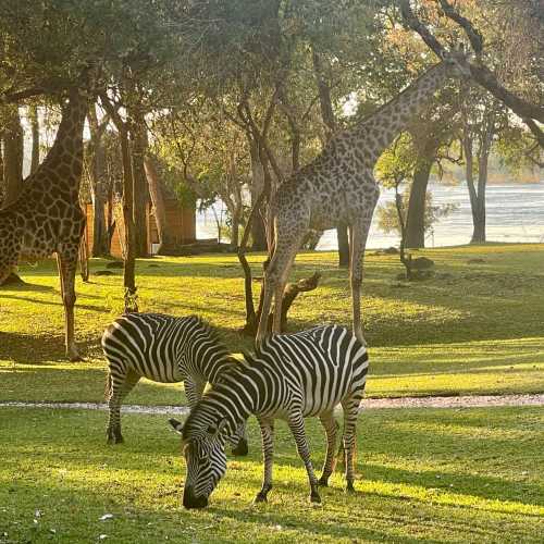 Royal Hotel Livingston, Zambia