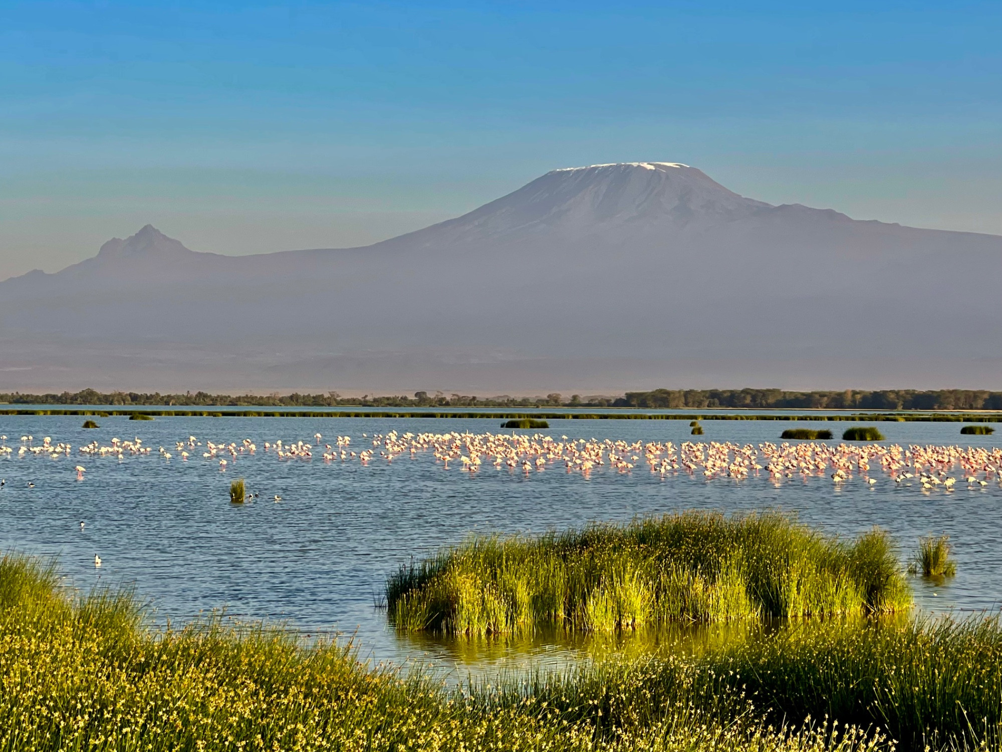 Swamp, Кения