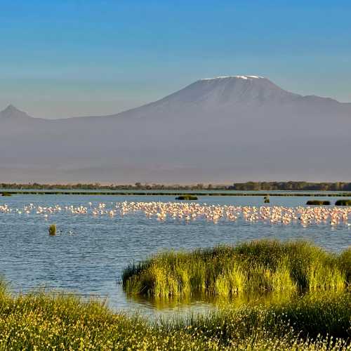 Swamp, Kenya