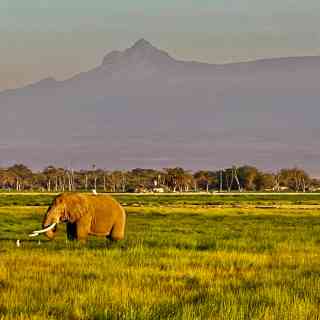 Noomotio Observation Point photo