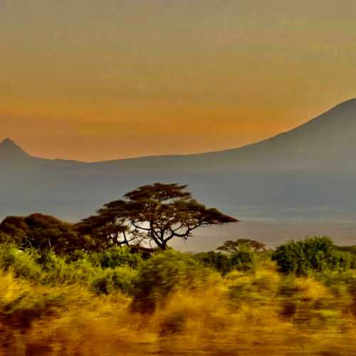 Hyena Rock, Kenya