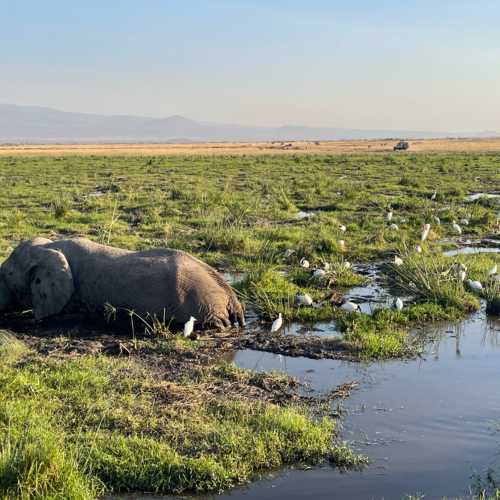 Swamp, Kenya