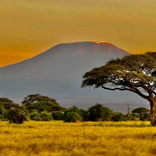 Hyena Rock, Kenya