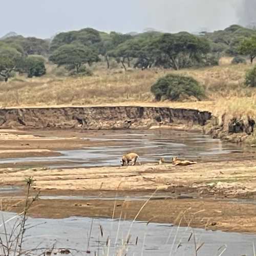 Тарангире, Tanzania