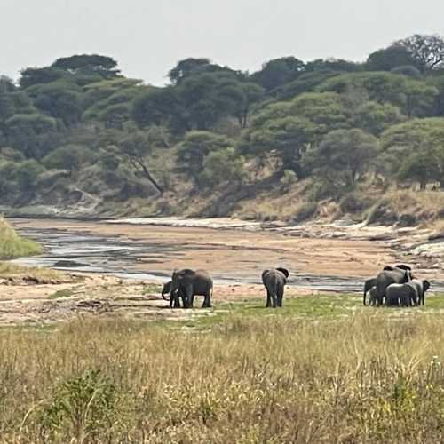 Тарангире, Tanzania