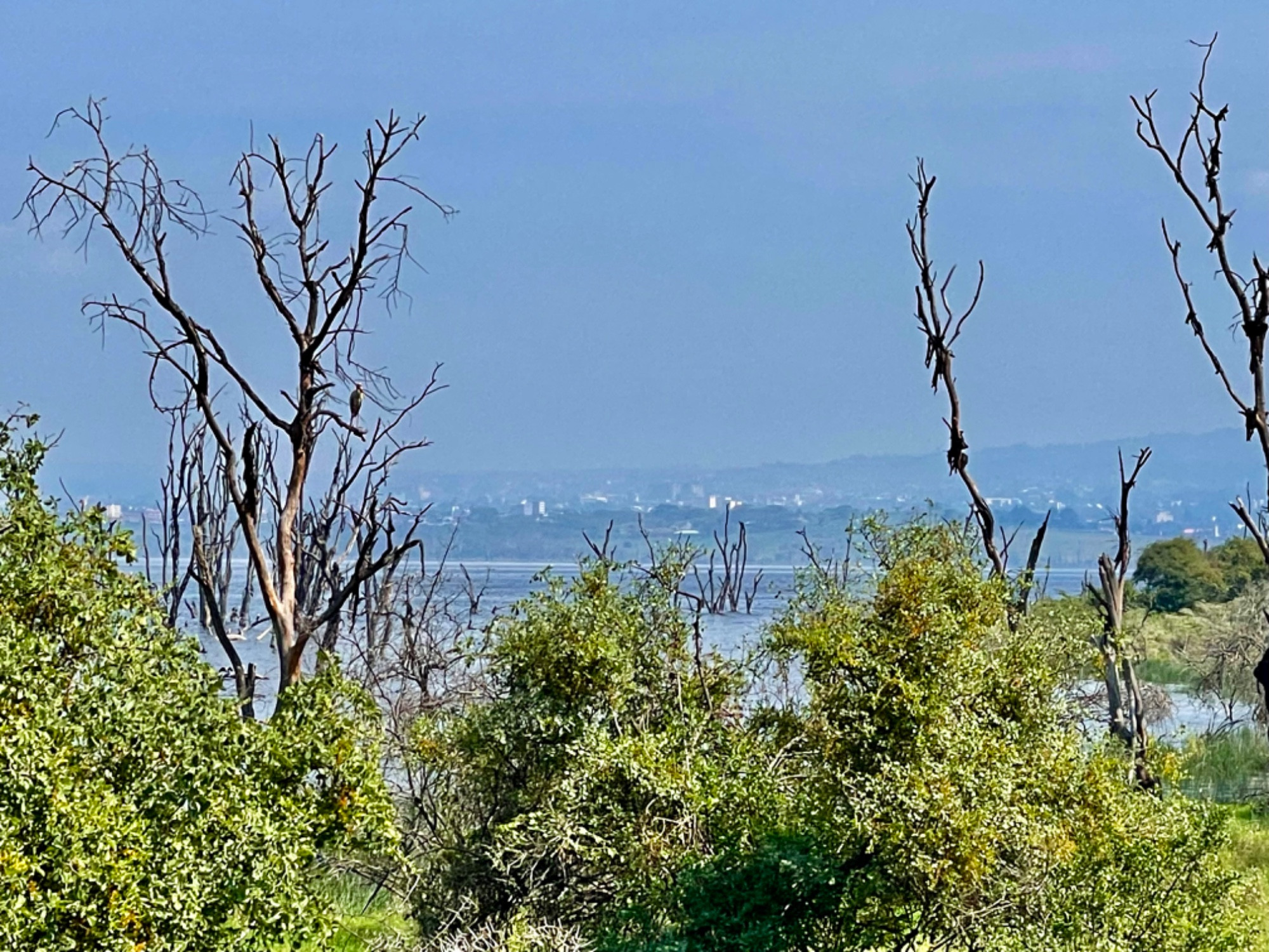 Nakuru, Kenya