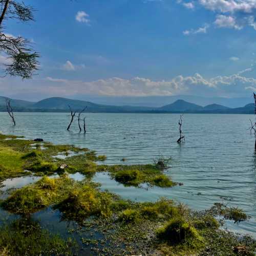 Boat  Trips, Kenya