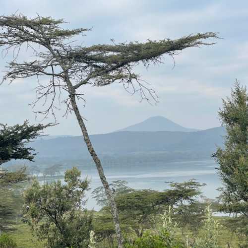 Ol Doinyo Eburru, Kenya