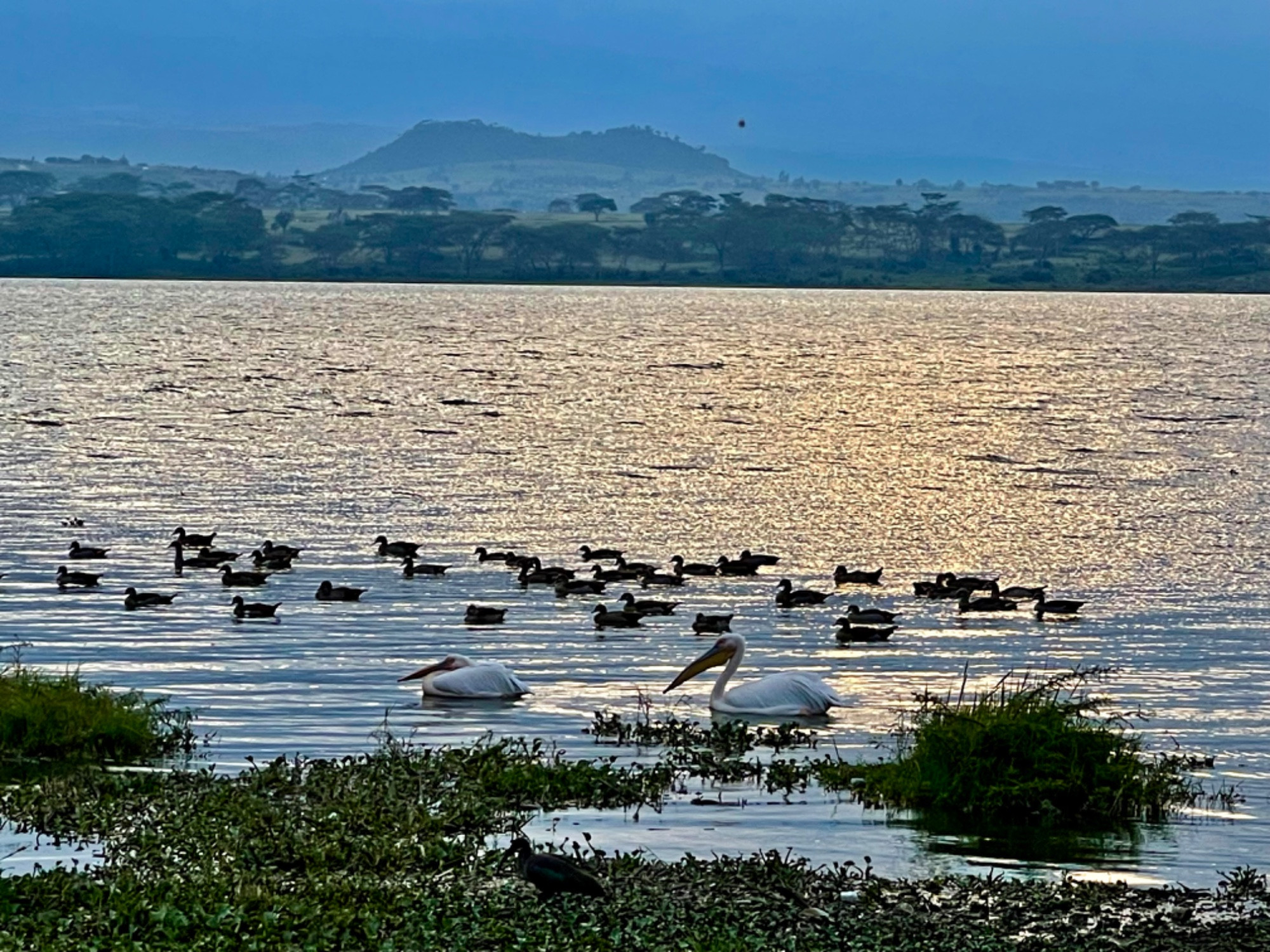 Lake view point, Kenya