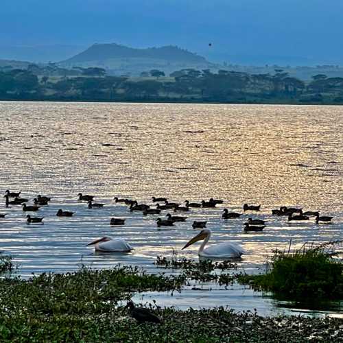 Lake view point, Kenya