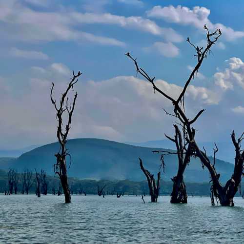 Lake oloidien, Kenya