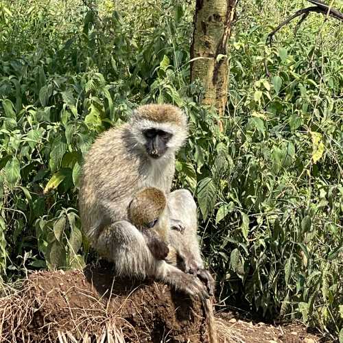 Nderit Gate Lake Nakuri National Park photo