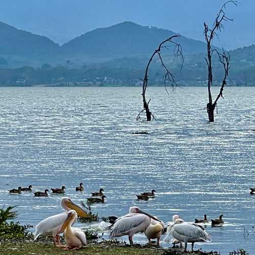 Lake view point, Kenya