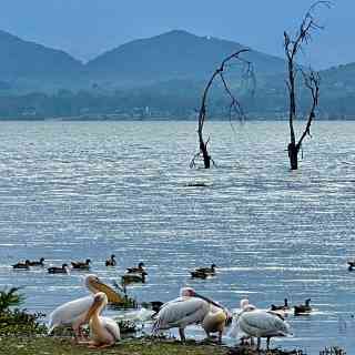 Lake view point