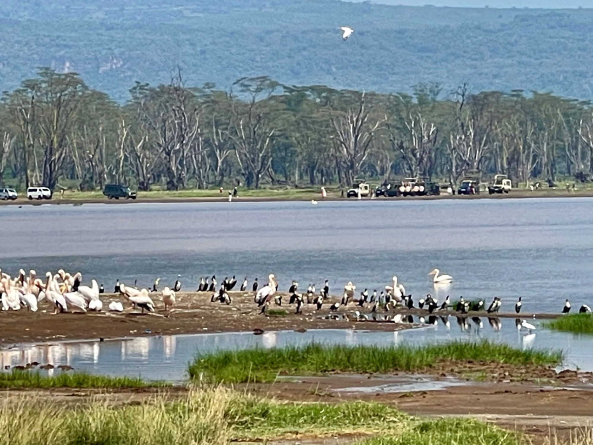 Lake Nakuru, Kenya