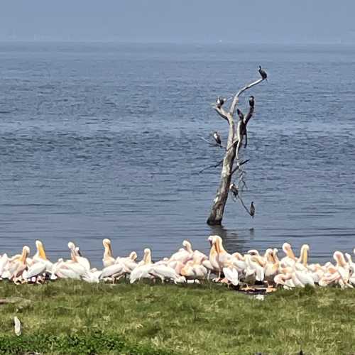 View on lake, Kenya