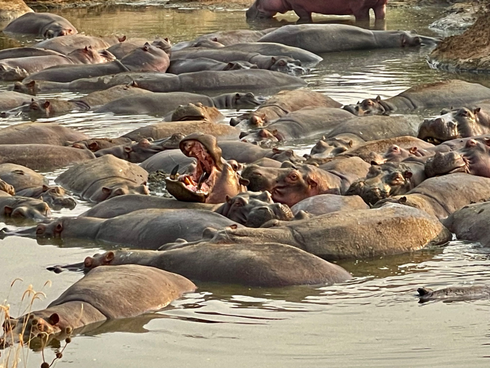 Serengeti, Tanzania