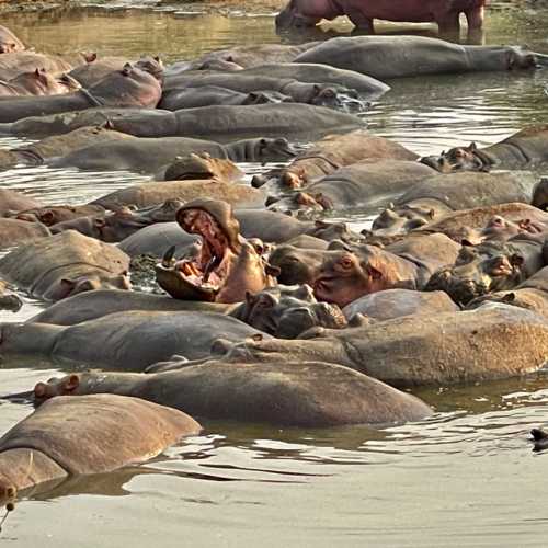 Serengeti, Tanzania