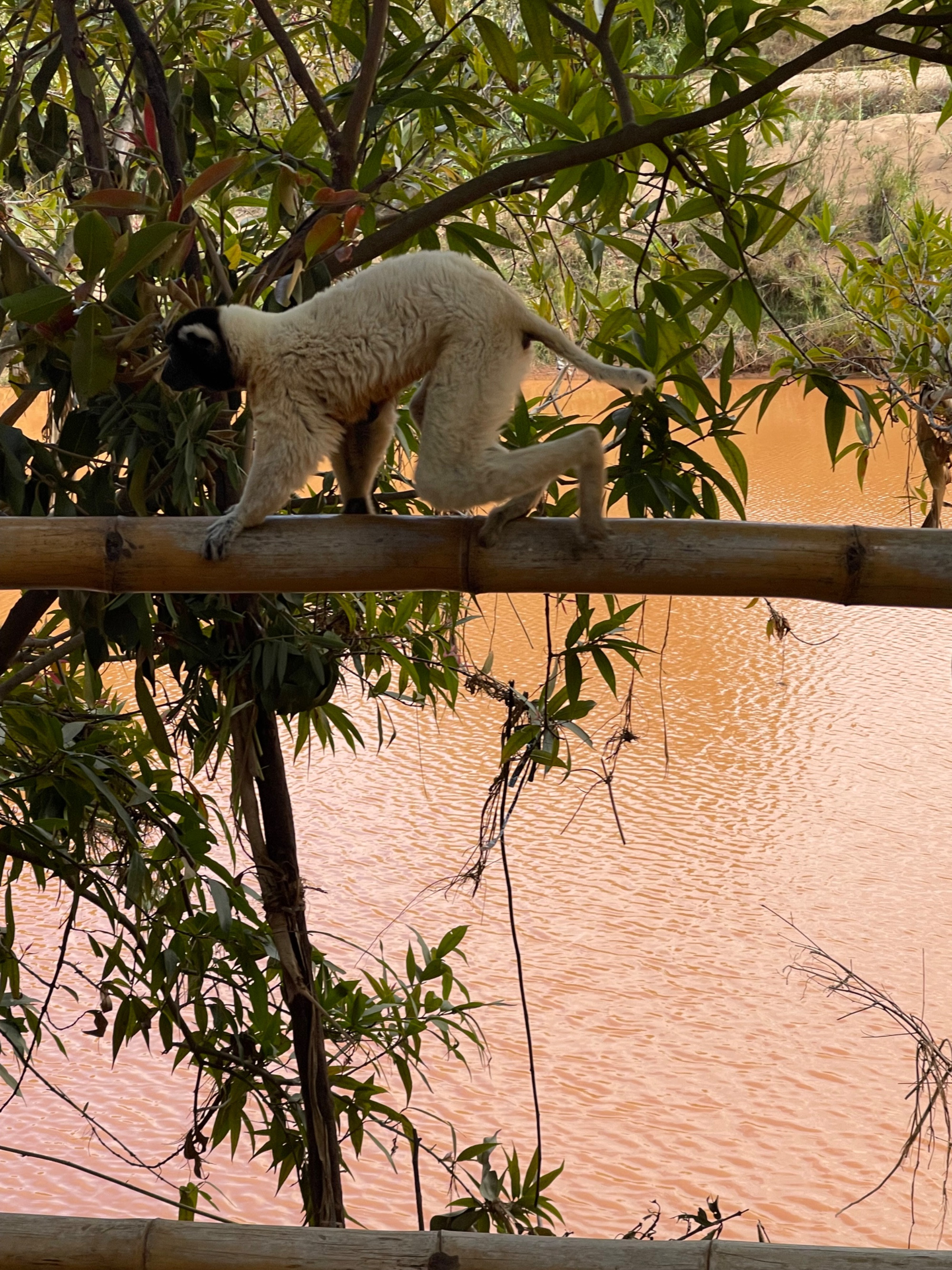 Madagascar