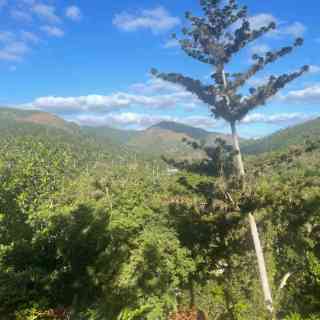 Mirador de la Cascada