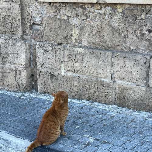 Larnaca, Cyprus