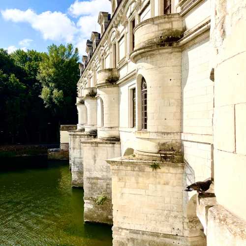 Замок Шенонсо, Франция