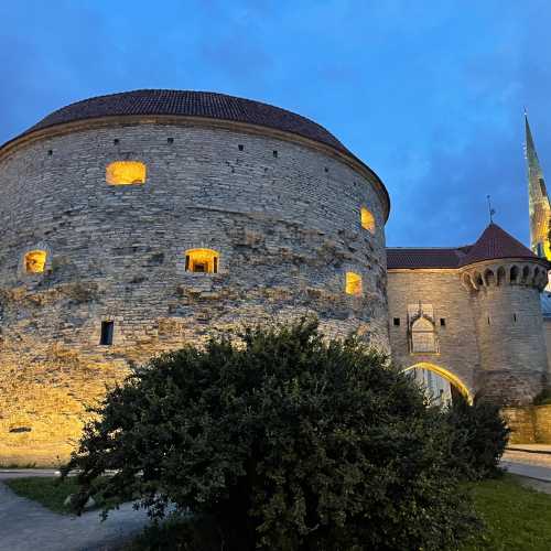 Башня Толстая Маргарита, Эстония