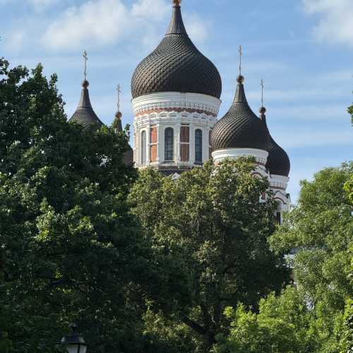Alexander Nevsky Cathedral, Estonia