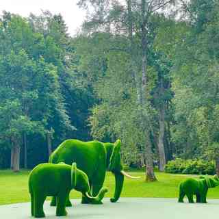 Tervise Paradiis photo