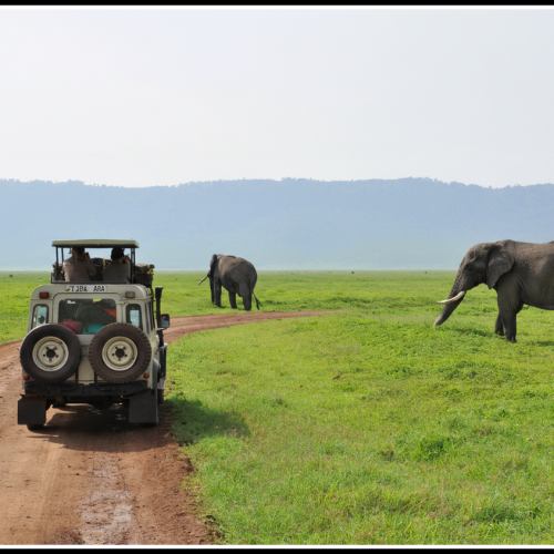 Нгоронгоро, Танзания