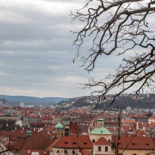 Czech Republic