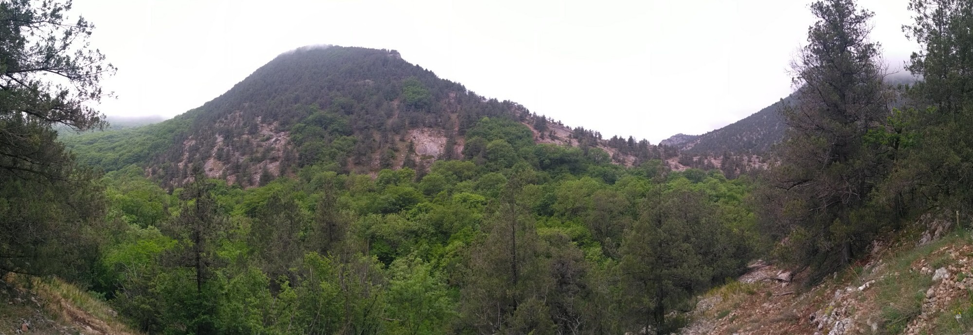 панорама гор над ущельем