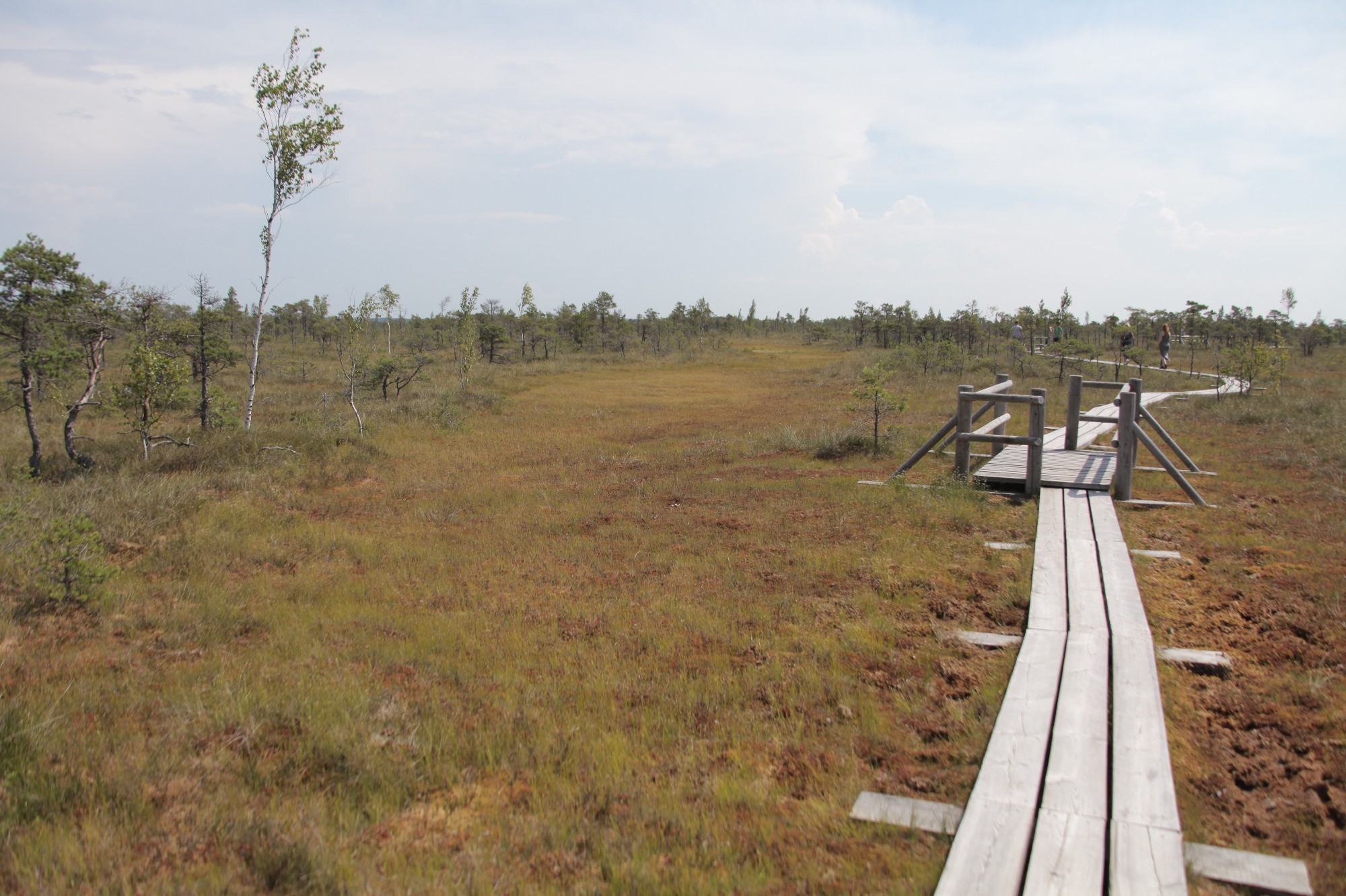 Ķemeri National Park, Latvia