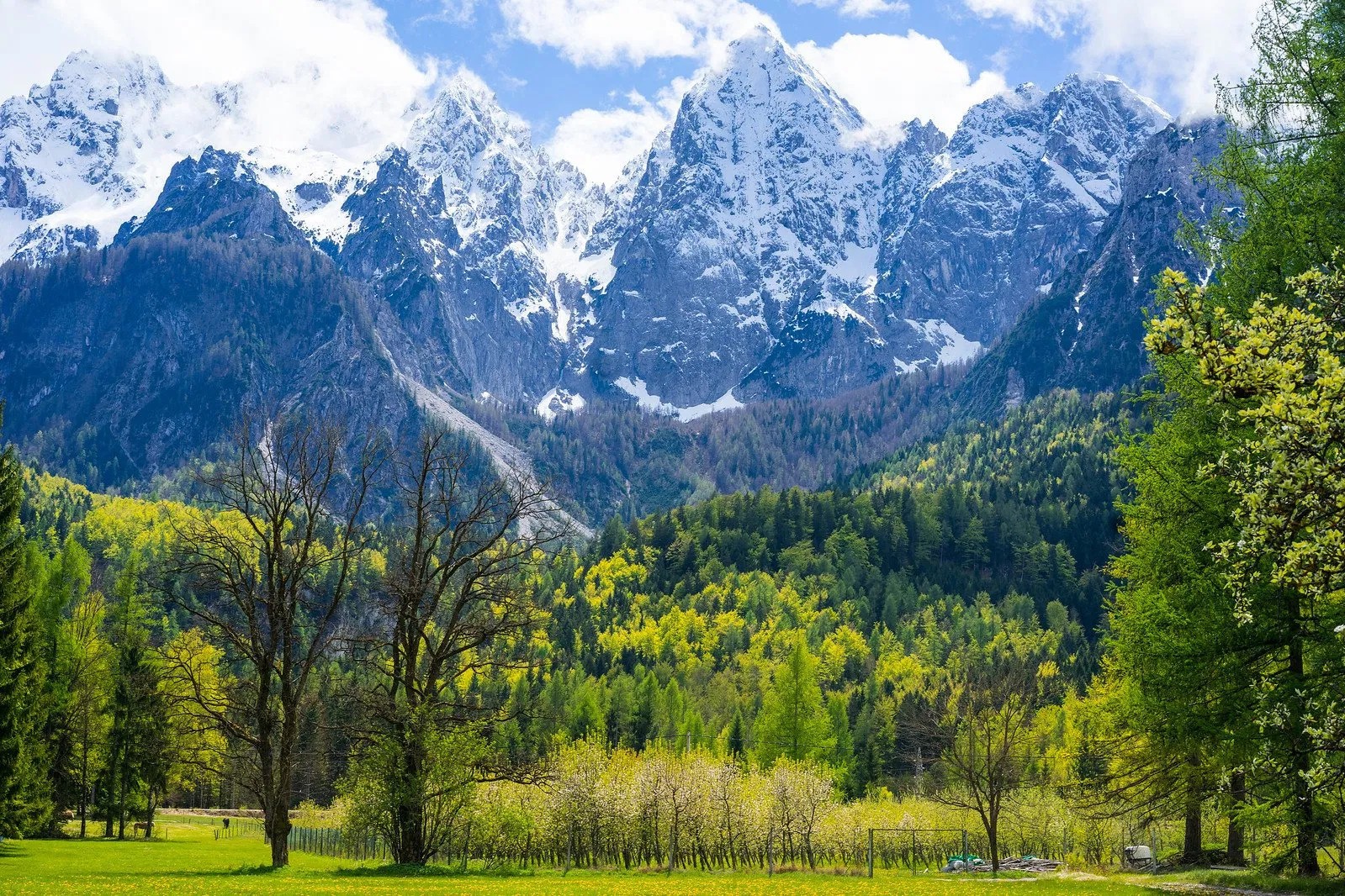 Словения