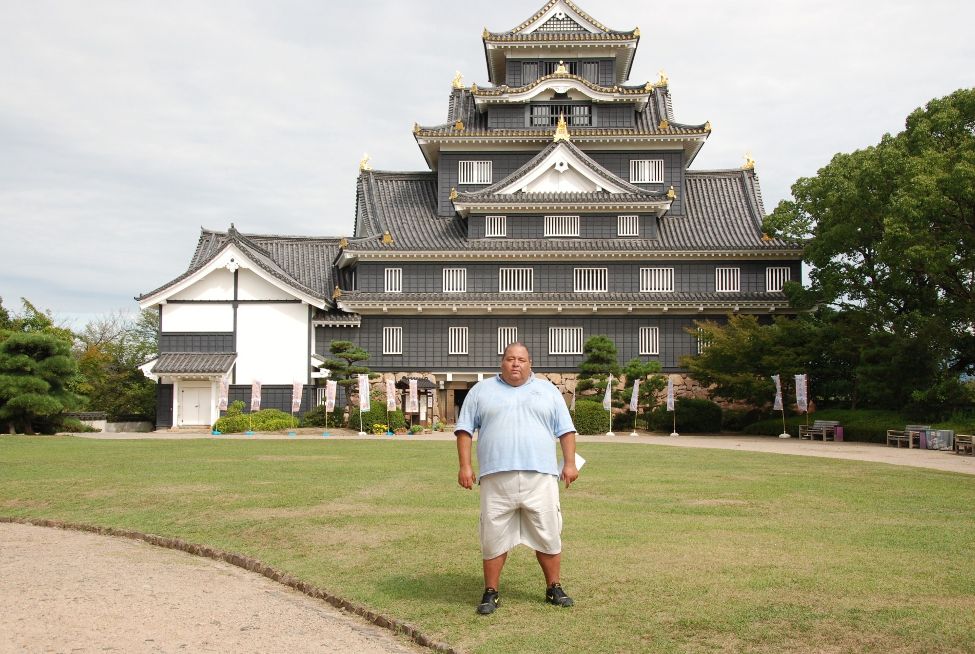 Замок Чёрного ворона, Japan