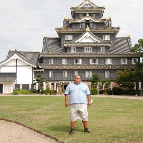 Замок Чёрного ворона, Япония