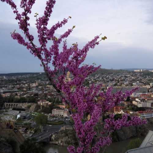 Tbilisi, Georgia