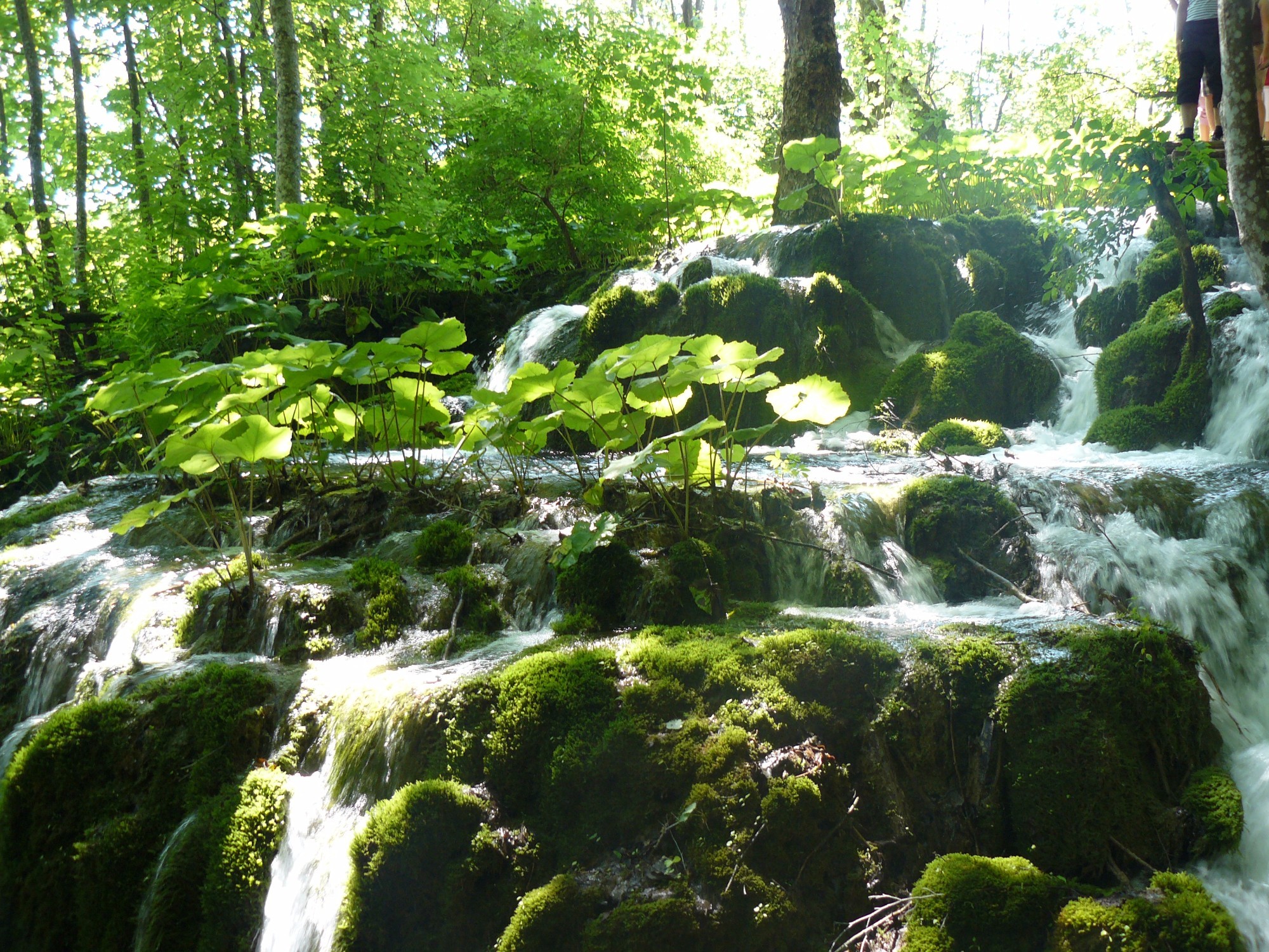 Plitvice Lakes National Park, Croatia