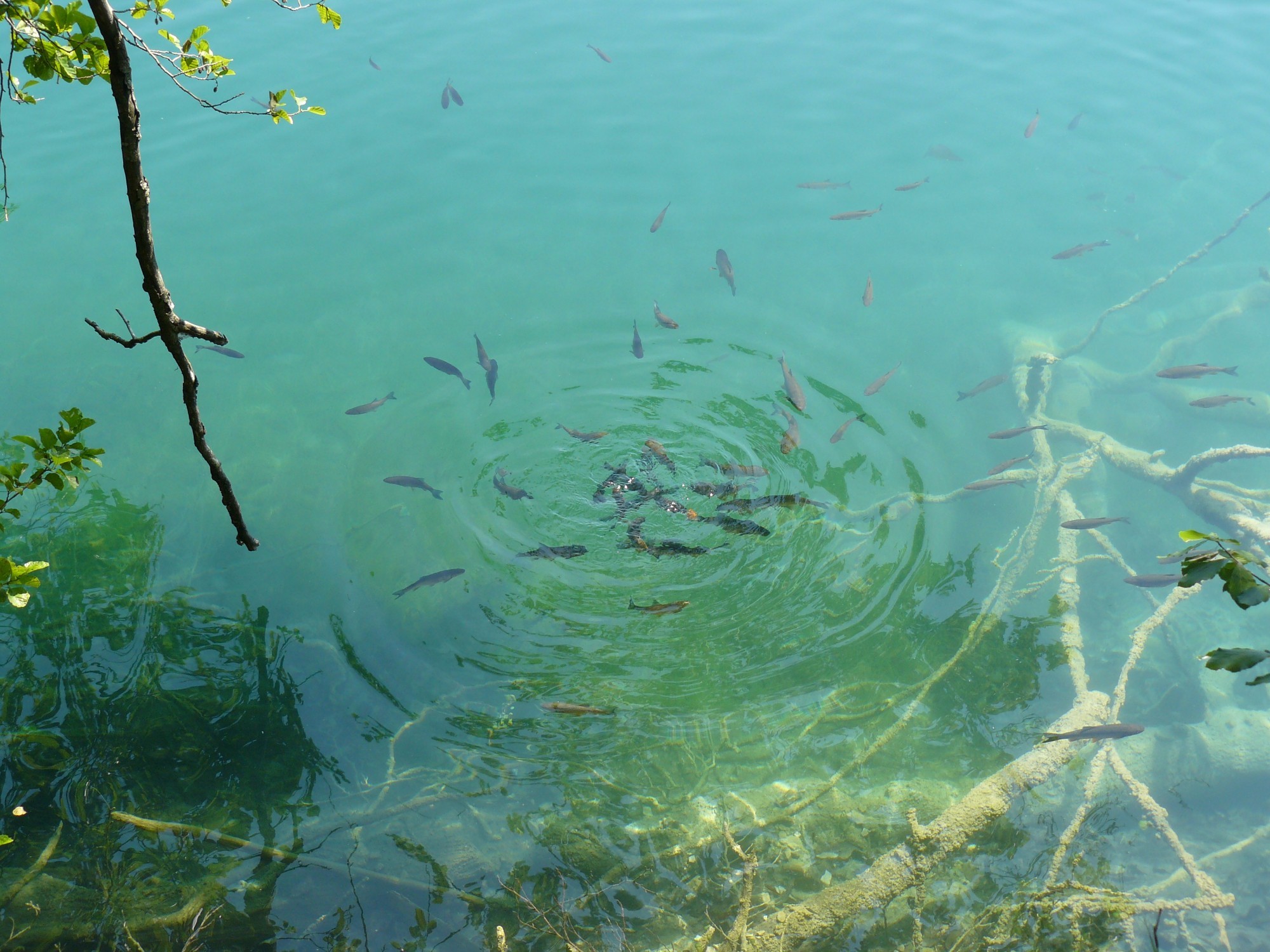 Plitvice Lakes National Park, Croatia