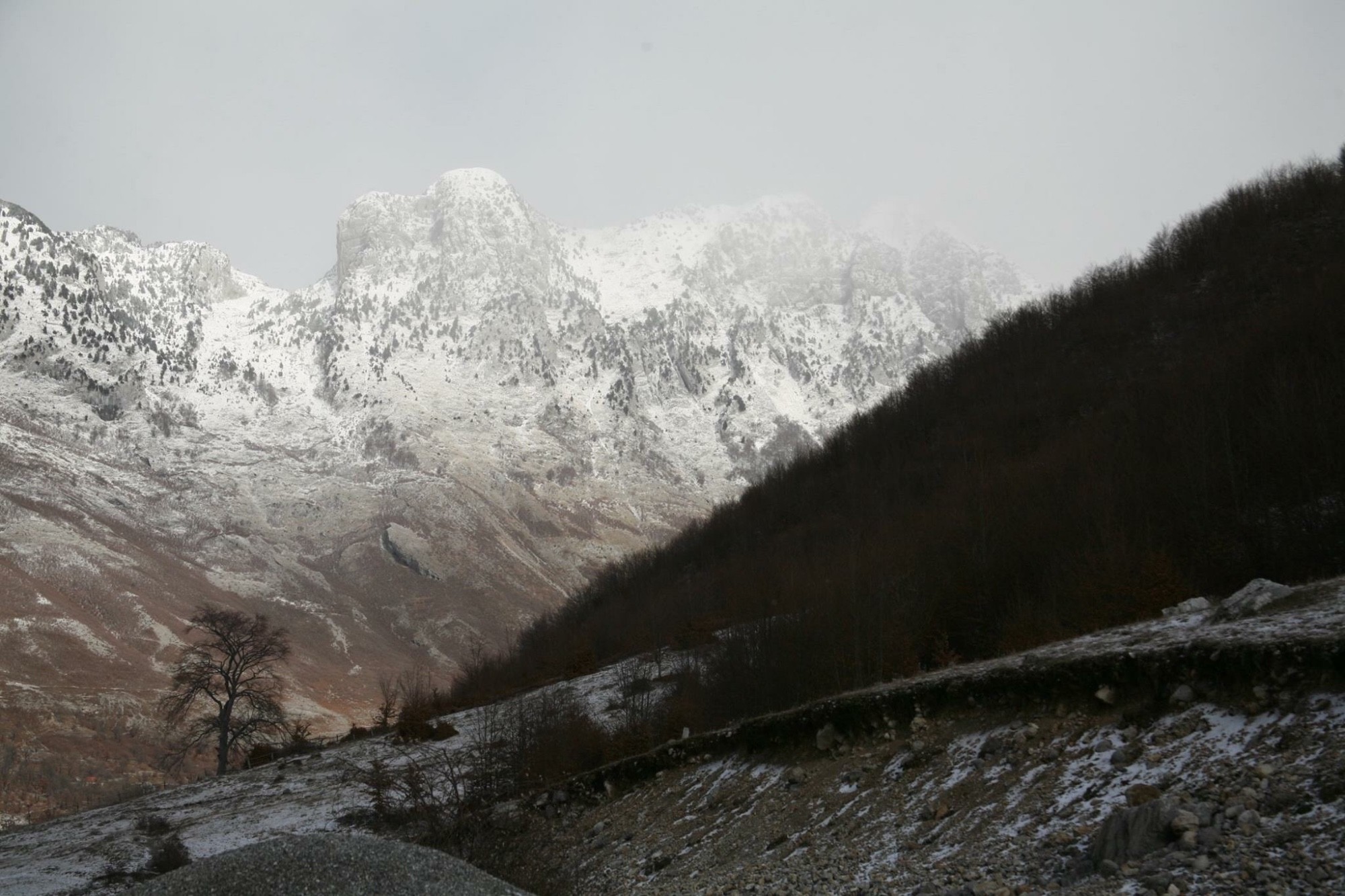 Albania