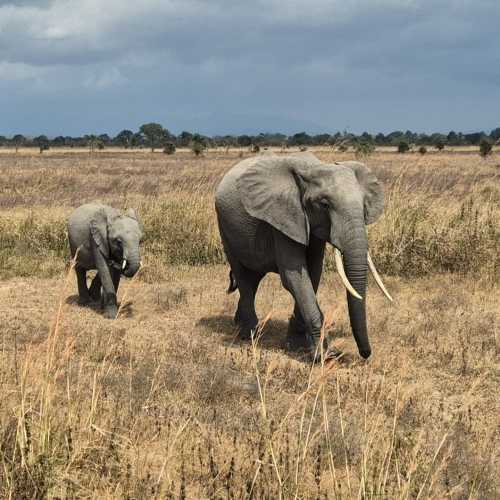 Tanzania