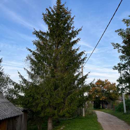 Усадище, Russia